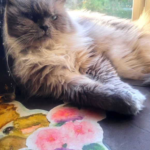 My memories on your sleeve ;) - Picture 4 of 16